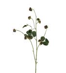 Bjørnebærkvist - Svart - 95 cm - www.frokenfraken.se
