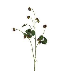 Bjørnebærkvist - Svart - 95 cm - www.frokenfraken.se