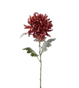 Krysantemum - Brun - 60 cm - www.frokenfraken.se