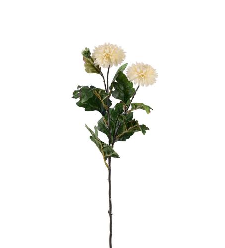 Krysantemum - Krem - 53 cm - www.frokenfraken.se