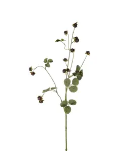 Bjørnebærkvist - Svart - 115 cm - www.frokenfraken.se