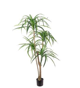 Dracena - Grønn - 150 cm - www.frokenfraken.se