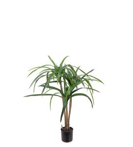 Dracena - Grønn - 90 cm - www.frokenfraken.se