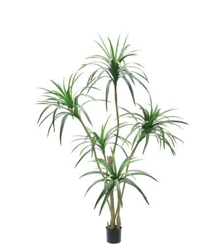Dracena - Grønn - 180 cm - www.frokenfraken.se