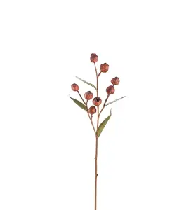 Eukalyptusgren med bær - Rød - 65 cm - www.frokenfraken.se