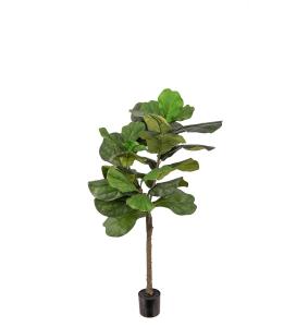 Fiolfikus - Grønn - 120 cm - www.frokenfraken.se