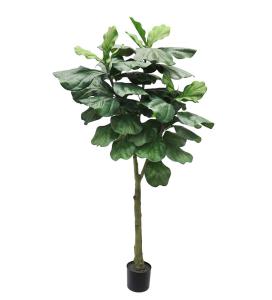 Fiolfikus - Grønn - 180 cm - www.frokenfraken.se