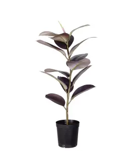 Fikus Elastica i krukke - Burgunder - 80 cm - www.frokenfraken.se