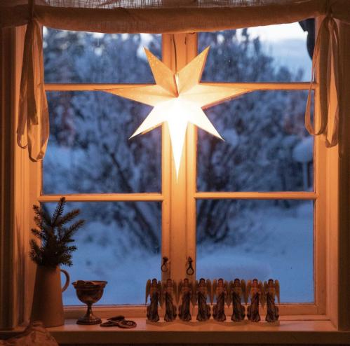 Adventsstjerne - Klassisk Gammeldags Oransje - 60 cm - www.frokenfraken.se