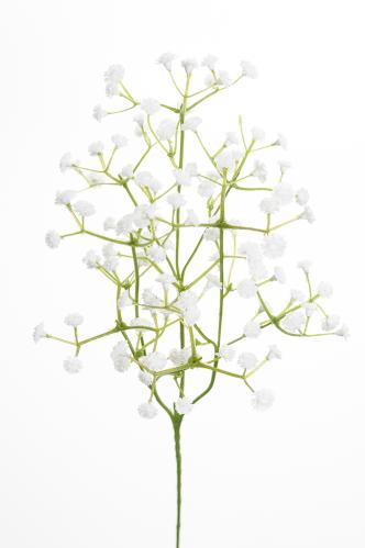 Brudeslør - Hvit - 50 cm - www.frokenfraken.se
