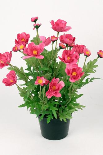 Rosenskjær - Rosa - 32 cm - www.frokenfraken.se