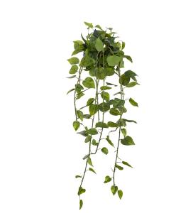 Gullranka - Grønn - 25 cm - www.frokenfraken.se