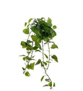 Gullranka - Grønn - 25 cm - www.frokenfraken.se