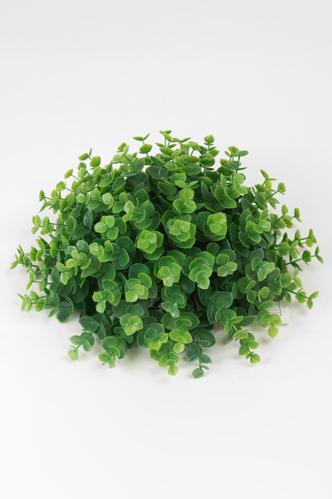 Eukalyptus - Grønn - 12 cm - www.frokenfraken.se