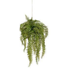 Ormbunke - Grønn - 53 cm - www.frokenfraken.se