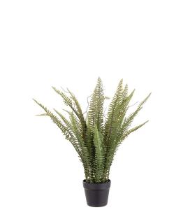 Ormbunke - Grønn - 75 cm - www.frokenfraken.se