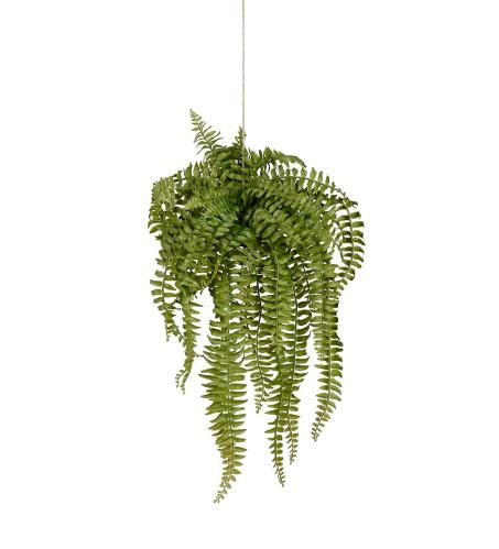 Ormbunke - Grønn - 53 cm - www.frokenfraken.se