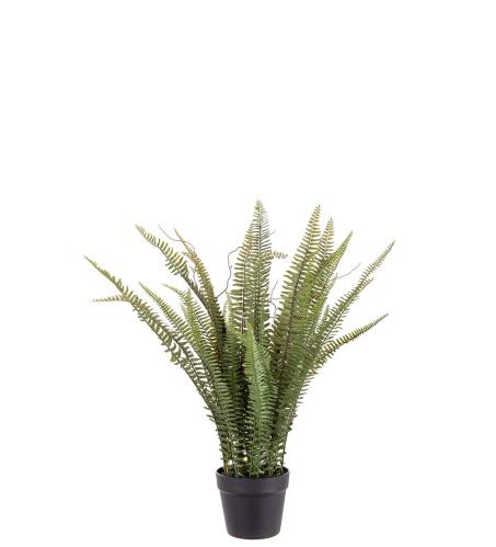 Ormbunke - Grønn - 75 cm - www.frokenfraken.se