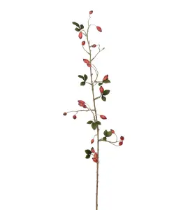 Nyponkvist - Rød - 100 cm - www.frokenfraken.se
