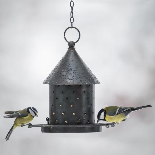 Fuglemater - Hengende hus - Svart - Ø19 x 21 cm - www.frokenfraken.se