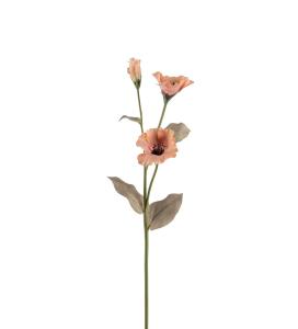 Prærieklokke - Fersken - 60 cm - www.frokenfraken.se