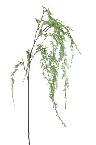 Cypress - Grønn - 90 cm - www.frokenfraken.se