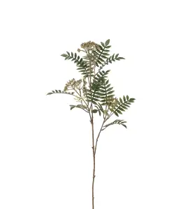 Rönn - Grønn - 80 cm - www.frokenfraken.se