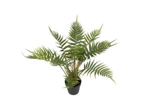 Ormbunke - Grønn - 50 cm - www.frokenfraken.se