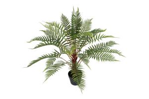 Ormbunke - Grønn - 80 cm - www.frokenfraken.se