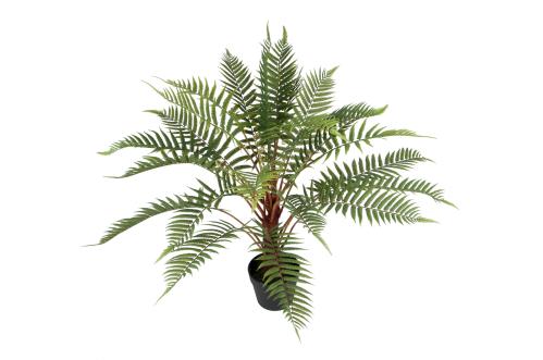 Ormbunke - Grønn - 80 cm - www.frokenfraken.se