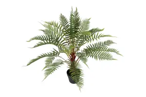 Ormbunke - Grønn - 80 cm - www.frokenfraken.se