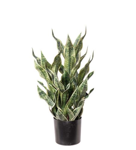 Sansiveria i krukke - Grønn - 80 cm - www.frokenfraken.se