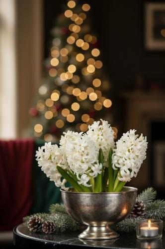 Skål - Champangeskål - Guld/champagnefärg - flammig - www.frokenfraken.se