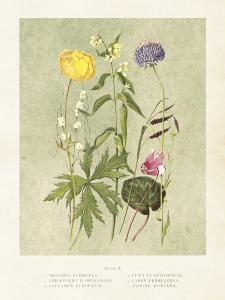 Plakat - Vintage - Sommerblomster - 18 x 24 cm - www.frokenfraken.se