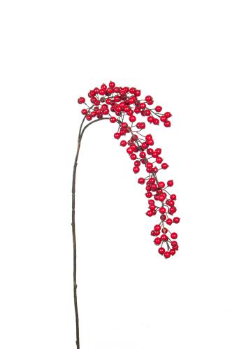 Bärkvist - Rød - 105 cm - www.frokenfraken.se