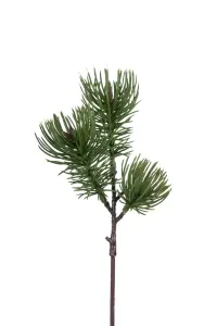 Tall - Grønn - 28 cm - www.frokenfraken.se