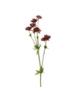 Stjärnflocka - Burgunder - 55 cm - www.frokenfraken.se