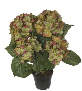 Hortensia - Grønn - 37 cm - www.frokenfraken.se