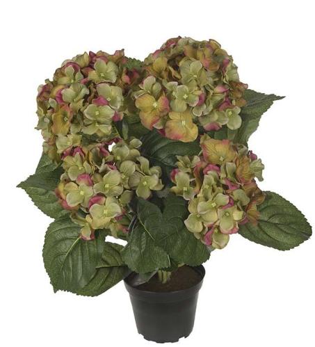 Hortensia - Grønn - 37 cm - www.frokenfraken.se