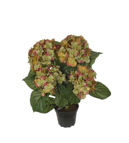 Hortensia - Grønn - 37 cm - www.frokenfraken.se