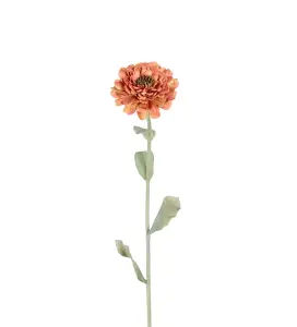 Zinnia - Oransje - 58 cm - www.frokenfraken.se