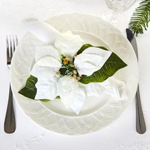 Serviettring – Hvit julestjerne – 13 cm - www.frokenfraken.se
