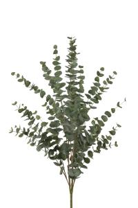 Eukalyptus - Grønn - 120 cm - www.frokenfraken.se