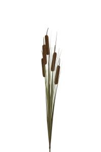 Grass - Brun - 105 cm - www.frokenfraken.se