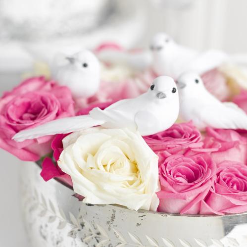 Fugler - Hvite fugler - Fugler på klyper - 6 stk - www.frokenfraken.se