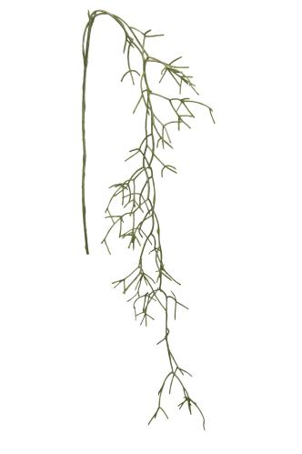 Rhipsalis - Grønn - 130 cm - www.frokenfraken.se