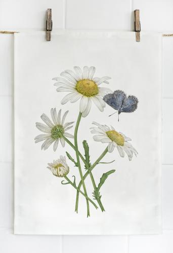 Kjøkkenhåndkle - Prestekrage/Blåvinge - 47 x 60 cm - www.frokenfraken.se