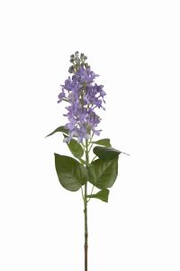 Syrén - Blå - 60 cm - www.frokenfraken.se
