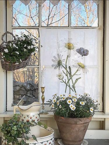 Kjøkkenhåndkle - Prestekrage/Blåvinge - 47 x 60 cm - www.frokenfraken.se