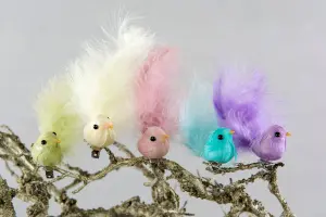 Fugl med klyper - 5-pakning - Vår - www.frokenfraken.se